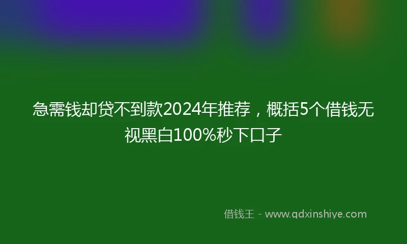 急需钱却贷不到款2024年推荐，概括5个借钱无视黑白100%秒下口子