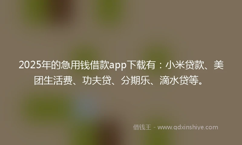 2025年的急用钱借款app下载有：小米贷款、美团生活费、功夫贷、分期乐、滴水贷等。