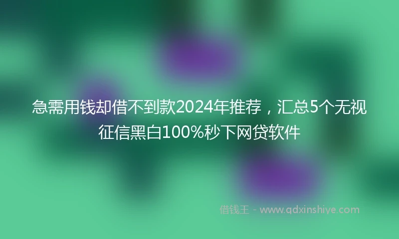 急需用钱却借不到款2024年推荐，汇总5个无视征信黑白100%秒下网贷软件