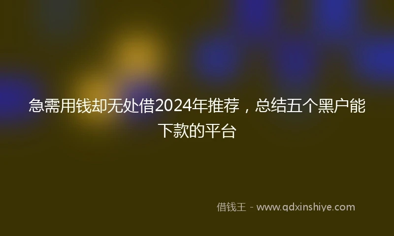 急需用钱却无处借2024年推荐，总结五个黑户能下款的平台