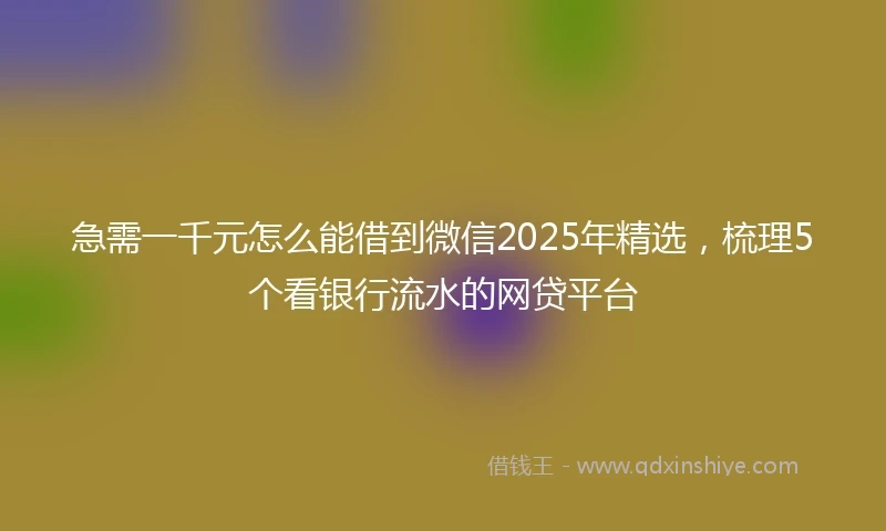 急需一千元怎么能借到微信2025年精选，梳理5个看银行流水的网贷平台
