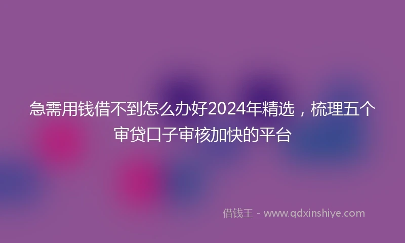 急需用钱借不到怎么办好2024年精选，梳理五个审贷口子审核加快的平台