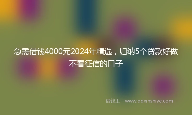 急需借钱4000元2024年精选，归纳5个贷款好做不看征信的口子