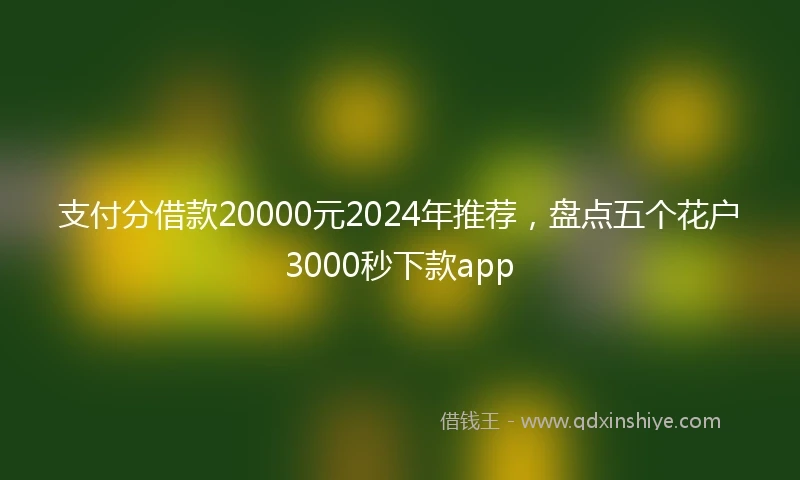 支付分借款20000元2024年推荐，盘点五个花户3000秒下款app