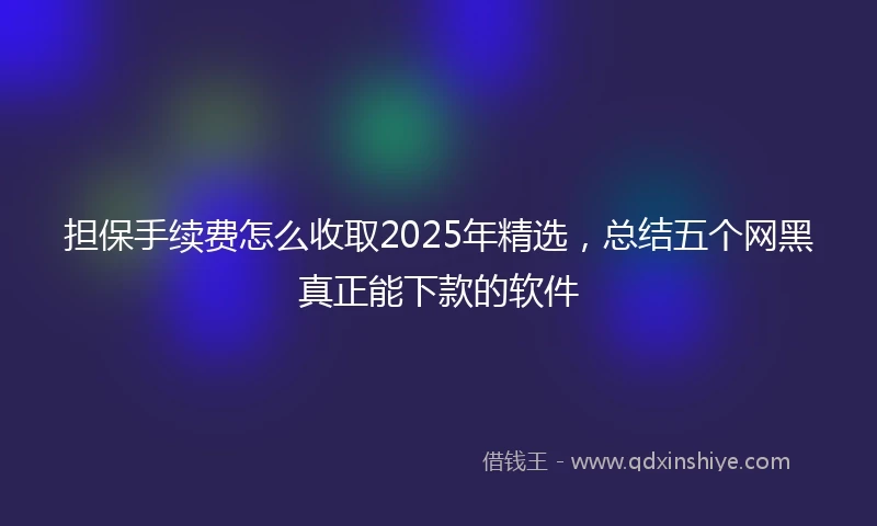 担保手续费怎么收取2025年精选，总结五个网黑真正能下款的软件