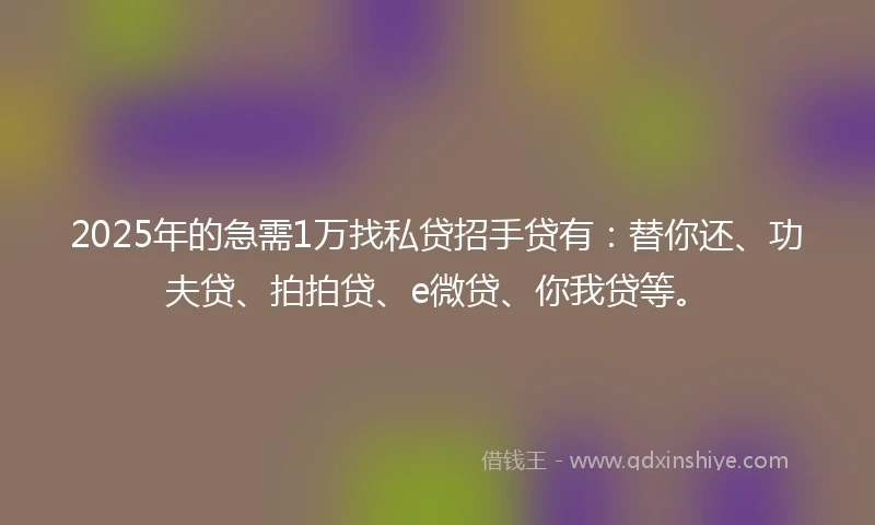 2025年的急需1万找私贷招手贷有：替你还、功夫贷、拍拍贷、e微贷、你我贷等。