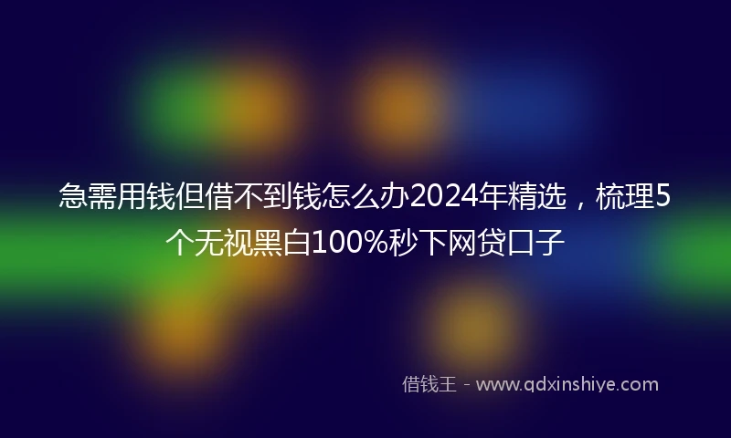 急需用钱但借不到钱怎么办2024年精选，梳理5个无视黑白100%秒下网贷口子