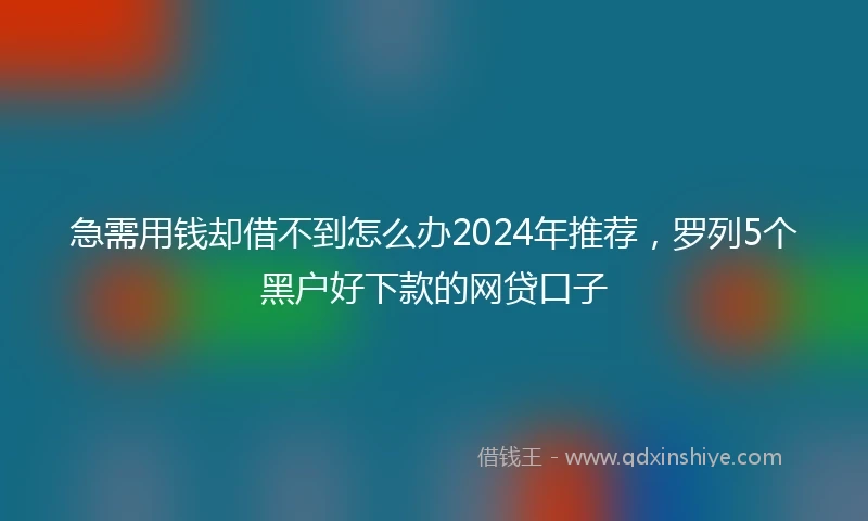急需用钱却借不到怎么办2024年推荐，罗列5个黑户好下款的网贷口子