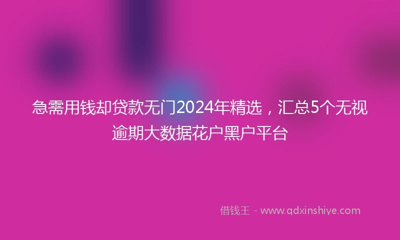 急需用钱却贷款无门2024年精选，汇总5个无视逾期大数据花户黑户平台