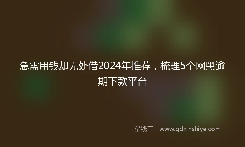 急需用钱却无处借2024年推荐，梳理5个网黑逾期下款平台