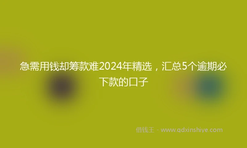 急需用钱却筹款难2024年精选，汇总5个逾期必下款的口子