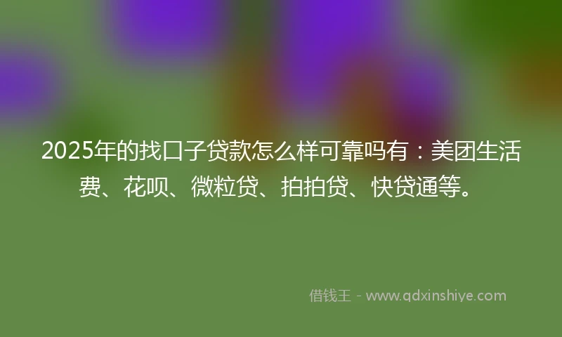 2025年的找口子贷款怎么样可靠吗有：美团生活费、花呗、微粒贷、拍拍贷、快贷通等。