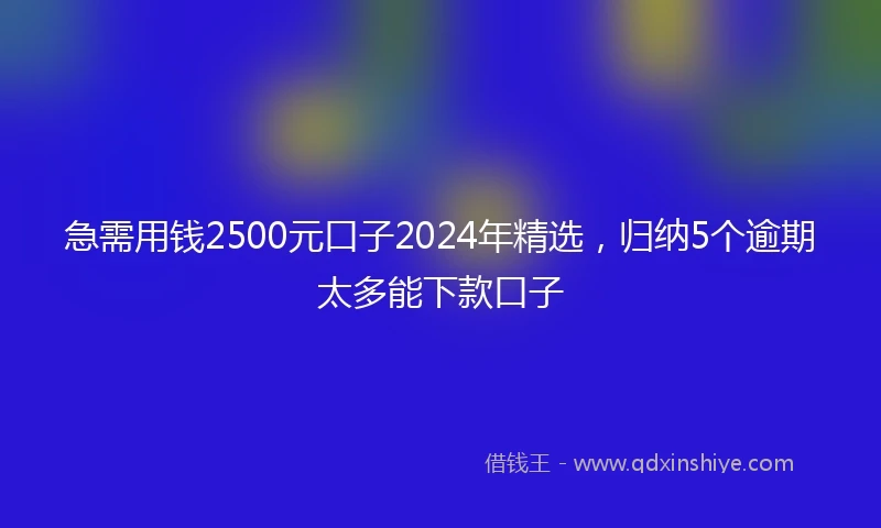 急需用钱2500元口子2024年精选，归纳5个逾期太多能下款口子