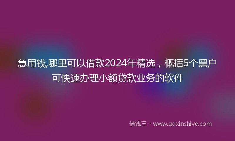 急用钱,哪里可以借款2024年精选，概括5个黑户可快速办理小额贷款业务的软件