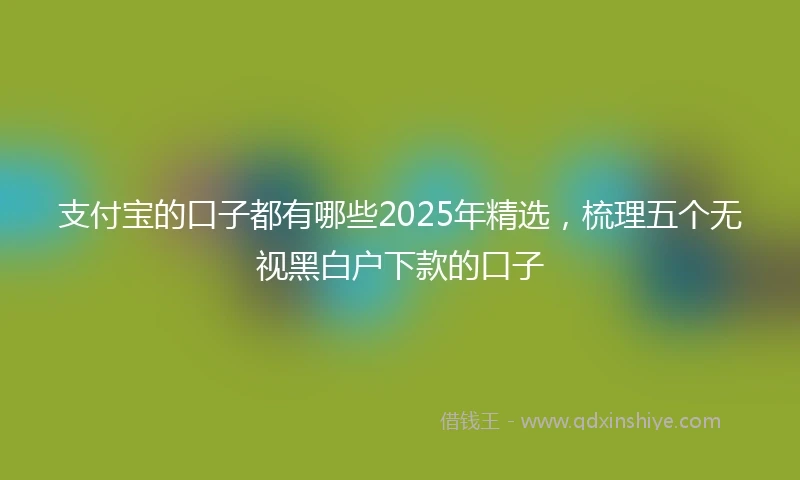 支付宝的口子都有哪些2025年精选，梳理五个无视黑白户下款的口子