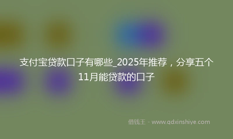 支付宝贷款口子有哪些_2025年推荐，分享五个11月能贷款的口子
