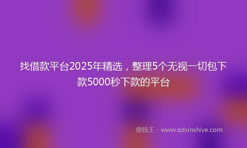 找借款平台2025年精选，整理5个无视一切包下款5000秒下款的平台
