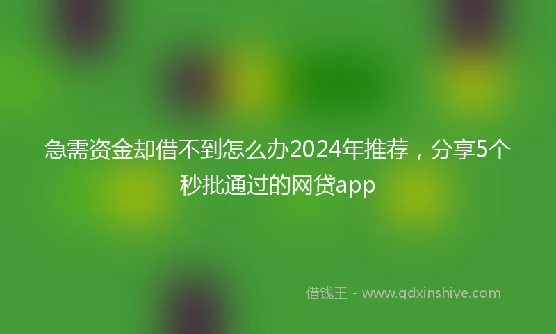急需资金却借不到怎么办2024年推荐，分享5个秒批通过的网贷app