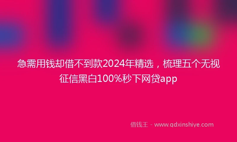 急需用钱却借不到款2024年精选，梳理五个无视征信黑白100%秒下网贷app