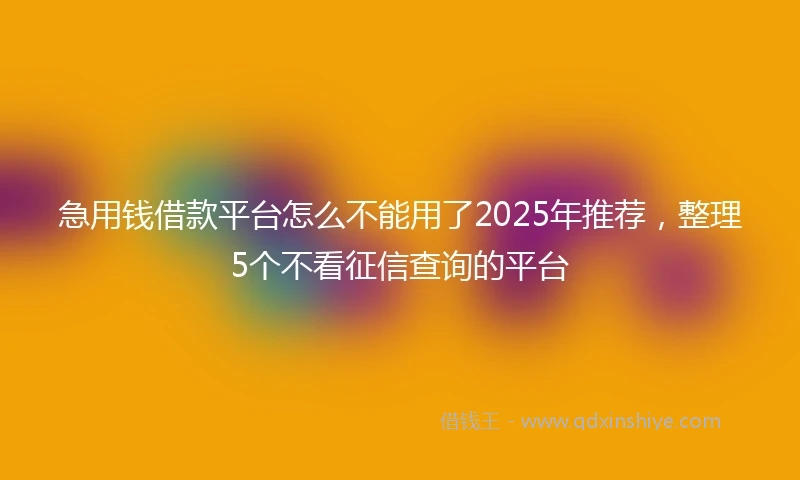 急用钱借款平台怎么不能用了2025年推荐，整理5个不看征信查询的平台