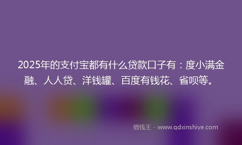 2025年的支付宝都有什么贷款口子有：度小满金融、人人贷、洋钱罐、百度有钱花、省呗等。