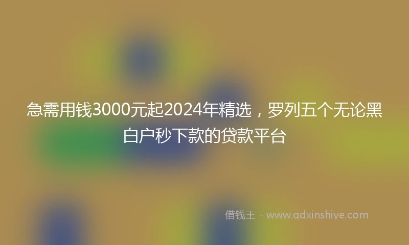 急需用钱3000元起2024年精选，罗列五个无论黑白户秒下款的贷款平台
