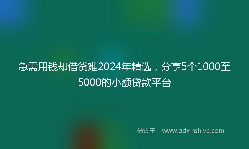 急需用钱却借贷难2024年精选，分享5个1000至5000的小额贷款平台