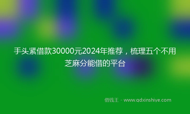 手头紧借款30000元2024年推荐，梳理五个不用芝麻分能借的平台