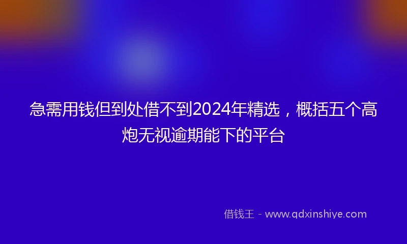 急需用钱但到处借不到2024年精选，概括五个高炮无视逾期能下的平台