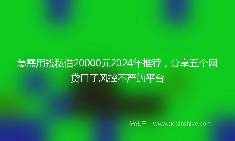 急需用钱私借20000元2024年推荐，分享五个网贷口子风控不严的平台