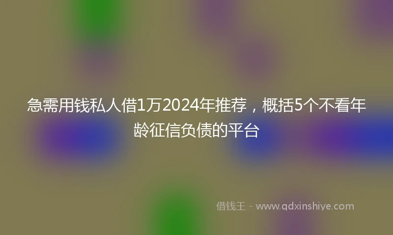 急需用钱私人借1万2024年推荐，概括5个不看年龄征信负债的平台