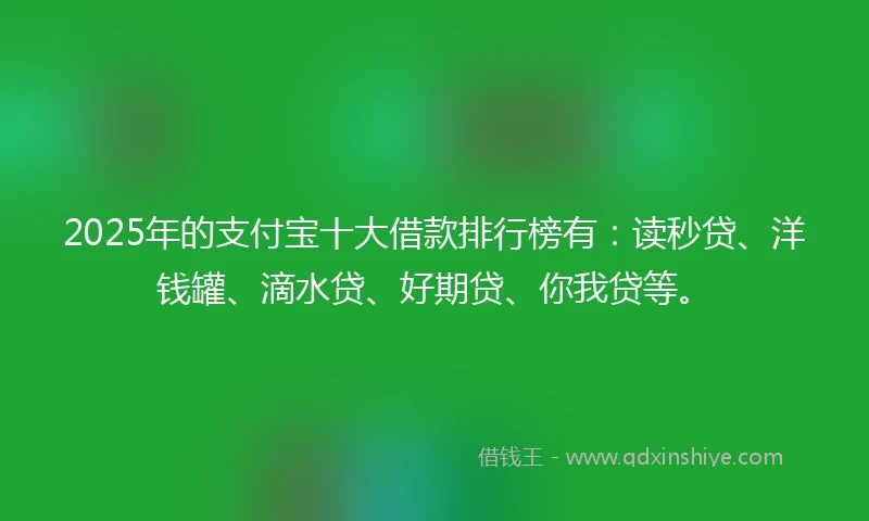 2025年的支付宝十大借款排行榜有：读秒贷、洋钱罐、滴水贷、好期贷、你我贷等。
