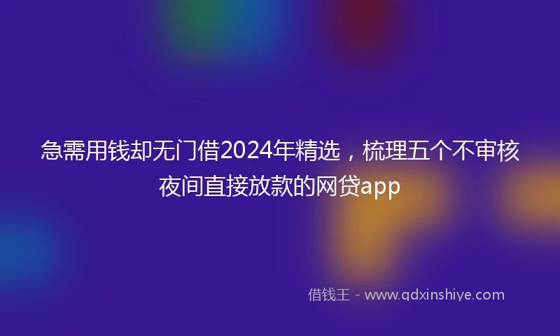 急需用钱却无门借2024年精选，梳理五个不审核夜间直接放款的网贷app