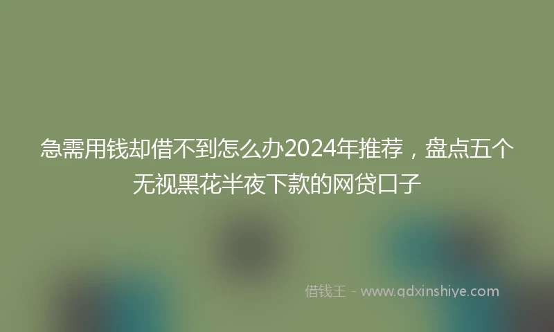急需用钱却借不到怎么办2024年推荐，盘点五个无视黑花半夜下款的网贷口子