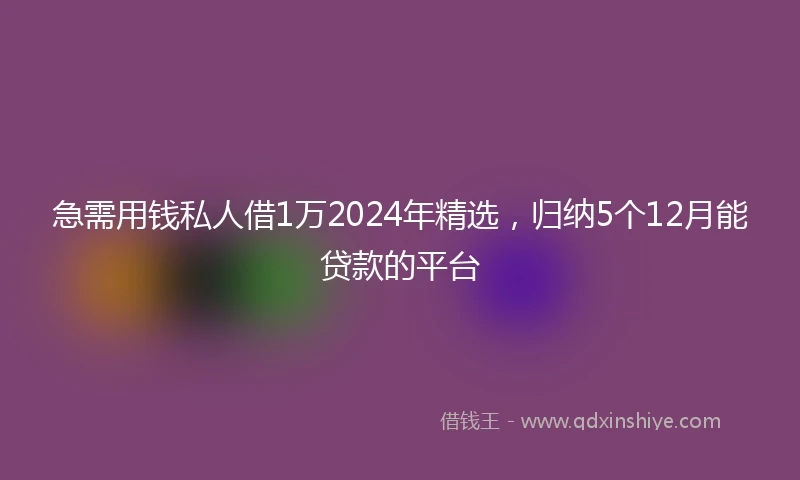 急需用钱私人借1万2024年精选，归纳5个12月能贷款的平台