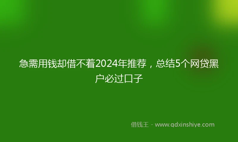 急需用钱却借不着2024年推荐，总结5个网贷黑户必过口子
