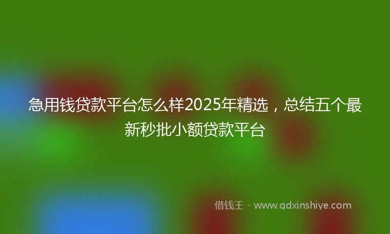 急用钱贷款平台怎么样2025年精选，总结五个最新秒批小额贷款平台