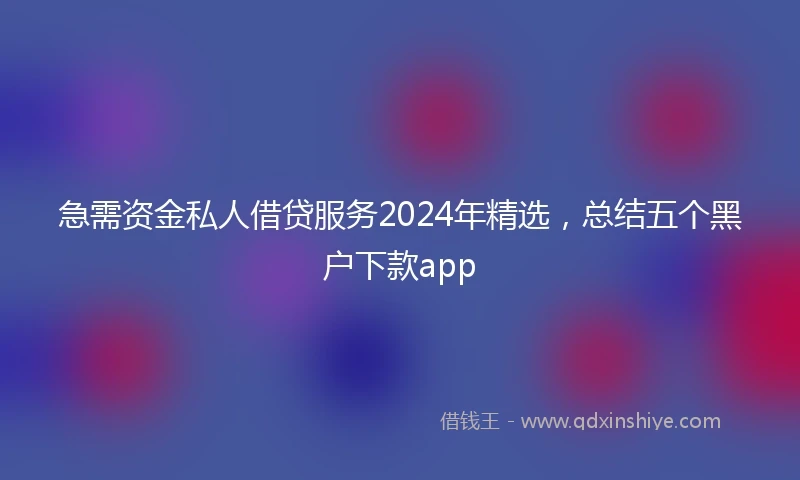 急需资金私人借贷服务2024年精选，总结五个黑户下款app