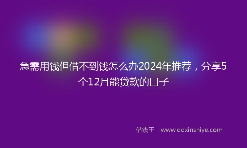 急需用钱但借不到钱怎么办2024年推荐，分享5个12月能贷款的口子