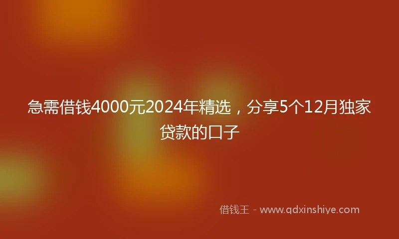 急需借钱4000元2024年精选，分享5个12月独家贷款的口子
