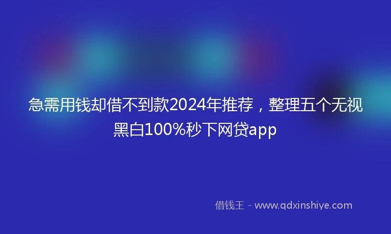 急需用钱却借不到款2024年推荐，整理五个无视黑白100%秒下网贷app