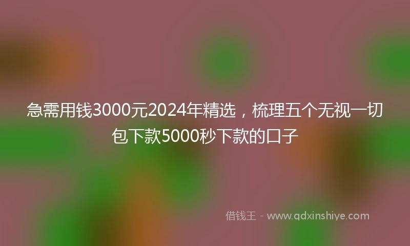 急需用钱3000元2024年精选，梳理五个无视一切包下款5000秒下款的口子