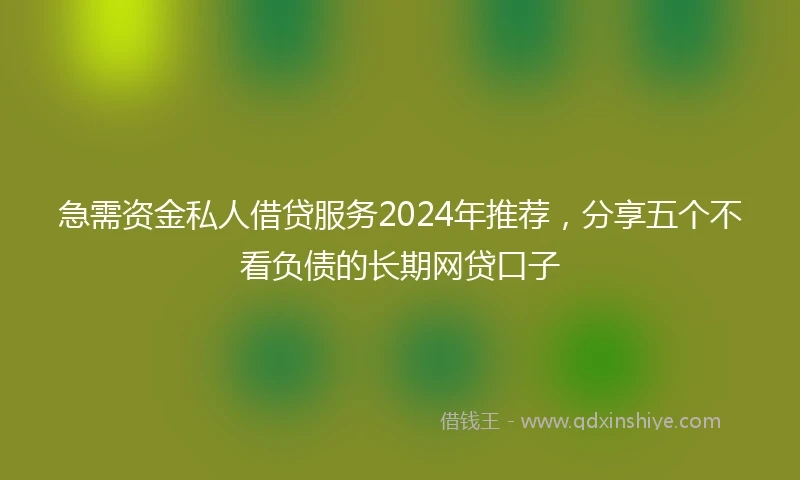 急需资金私人借贷服务2024年推荐，分享五个不看负债的长期网贷口子