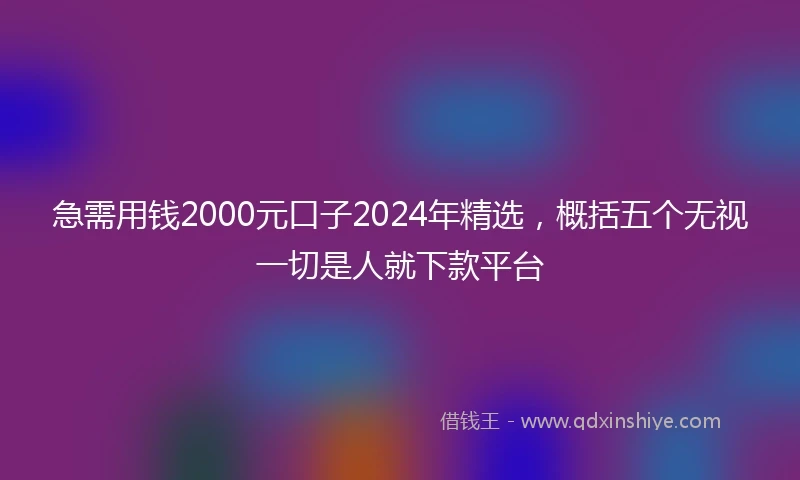 急需用钱2000元口子2024年精选，概括五个无视一切是人就下款平台