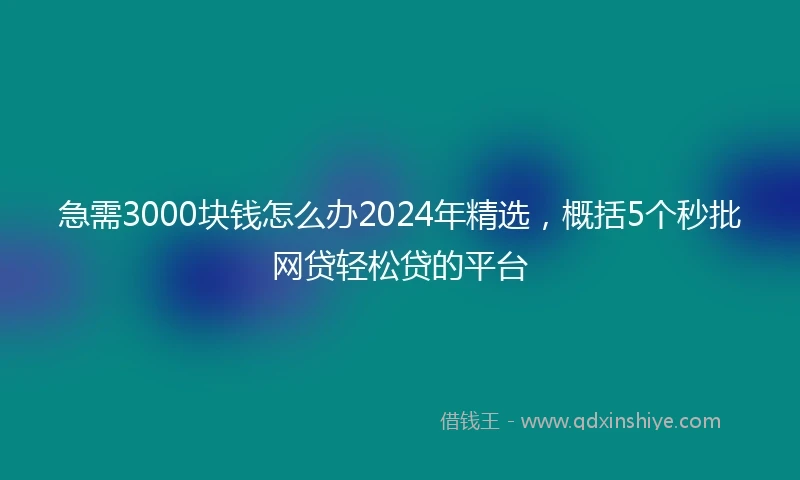 急需3000块钱怎么办2024年精选，概括5个秒批网贷轻松贷的平台