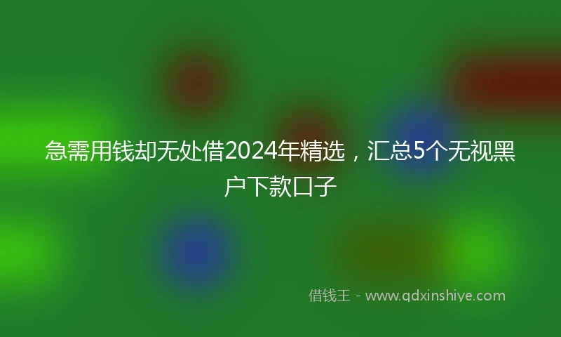 急需用钱却无处借2024年精选，汇总5个无视黑户下款口子
