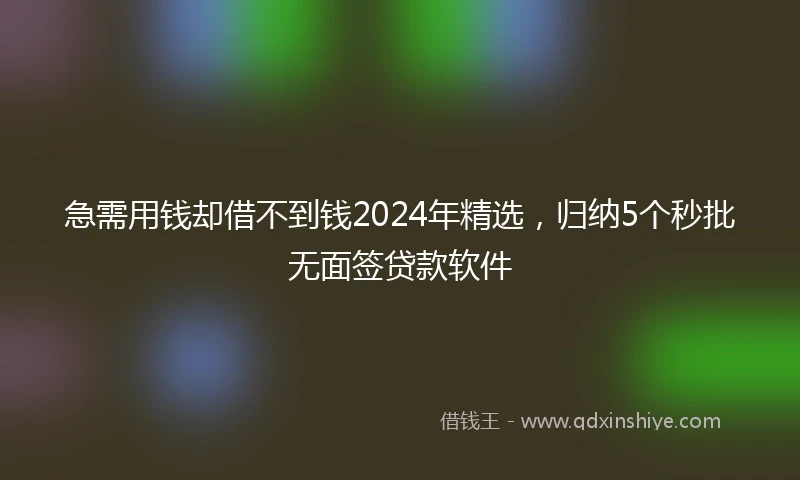 急需用钱却借不到钱2024年精选，归纳5个秒批无面签贷款软件