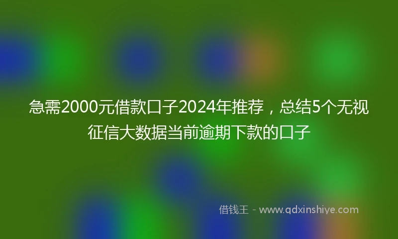 急需2000元借款口子2024年推荐，总结5个无视征信大数据当前逾期下款的口子