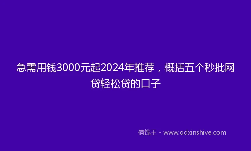 急需用钱3000元起2024年推荐，概括五个秒批网贷轻松贷的口子