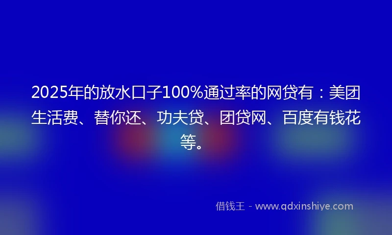 2025年的放水口子100%通过率的网贷有：美团生活费、替你还、功夫贷、团贷网、百度有钱花等。